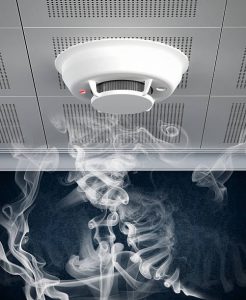 Nguyên lý hoạt động và cấu tạo của cảm biến khói thông minh - Thiết bị an toàn cho gia đình của bạn